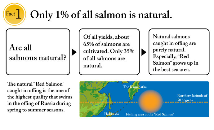Only 1% of all salmon is natural.