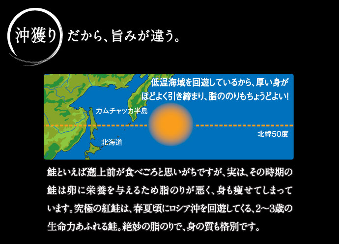 沖獲りだから、旨みが違う。