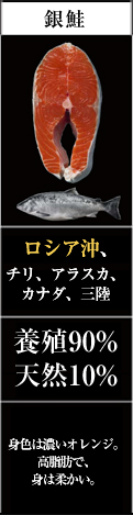 銀鮭