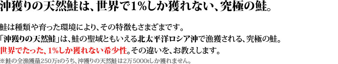 沖獲りの天然鮭は世界で1%しか獲れない、究極の鮭。